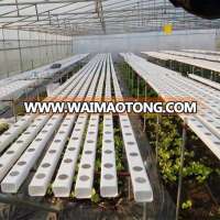 NFT Hydroponics PVC Channel for Hydroponic Growing System